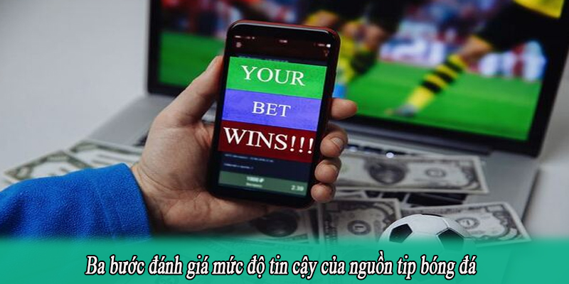Ba bước đánh giá mức độ tin cậy của nguồn tip bóng đá