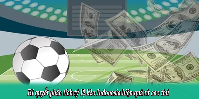 Bí quyết phân tích tỷ lệ kèo Indonesia hiệu quả từ cao thủ