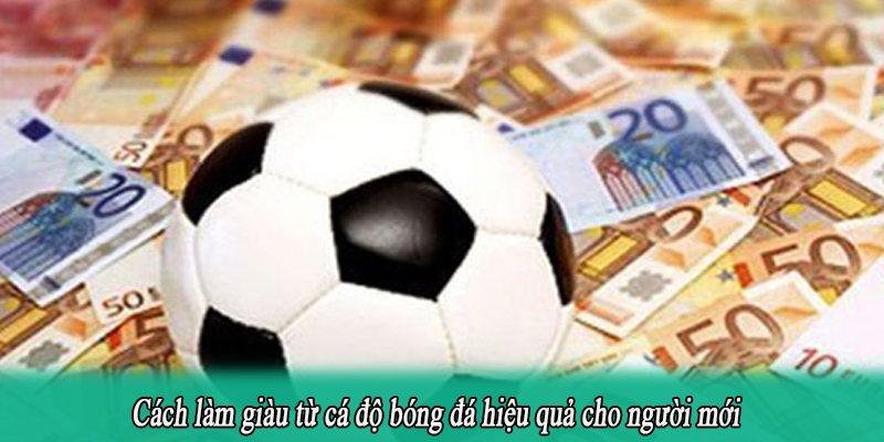 Cách làm giàu từ cá độ bóng đá hiệu quả cho người mới