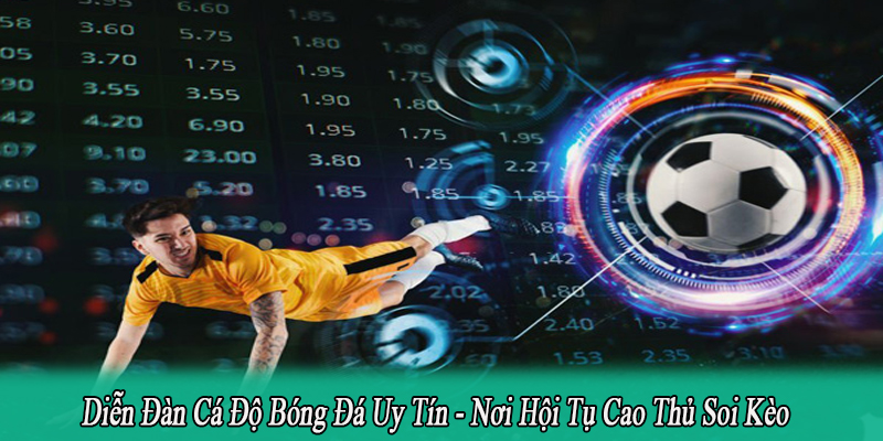diễn đàn cá độ bóng đá uy tín