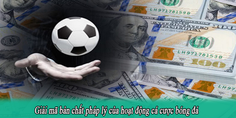 Giải mã bản chất pháp lý của hoạt động cá cược bóng đá