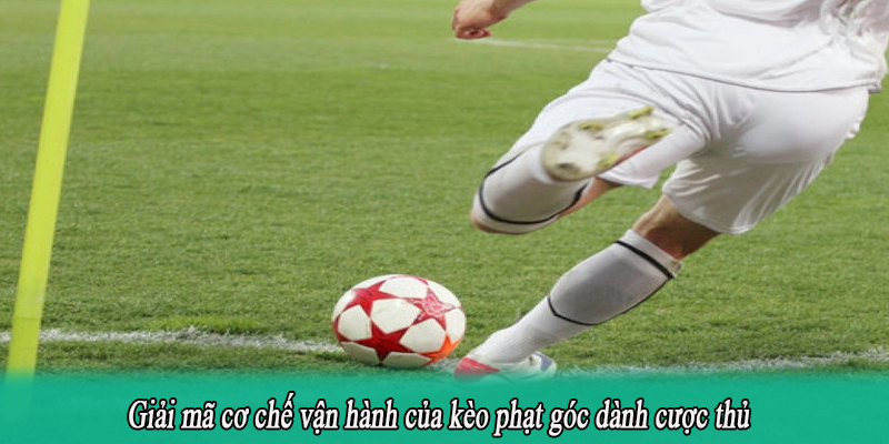 Giải mã cơ chế vận hành của kèo phạt góc dành cược thủ