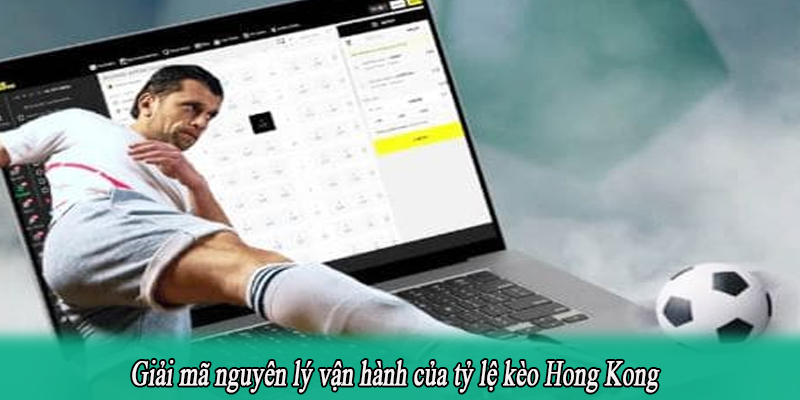 Giải mã nguyên lý vận hành của tỷ lệ kèo Hong Kong