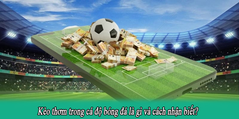 Kèo thơm trong cá độ bóng đá là gì và cách nhận biết?