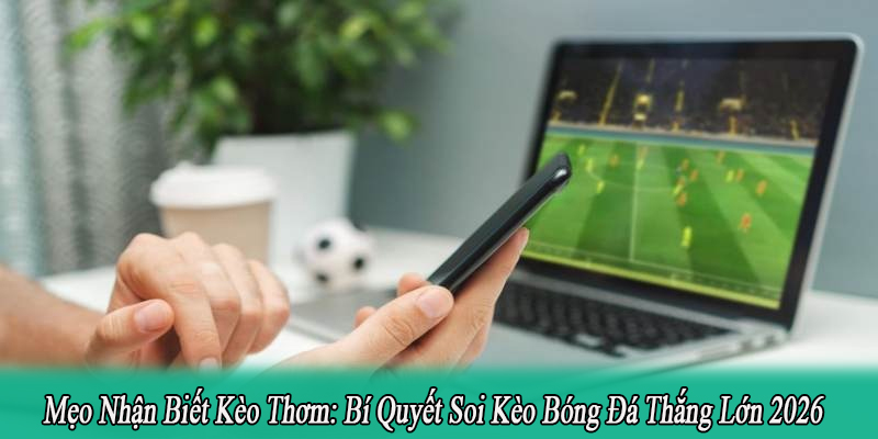 Mẹo Nhận Biết Kèo Thơm: Bí Quyết Soi Kèo Bóng Đá Thắng Lớn 2026