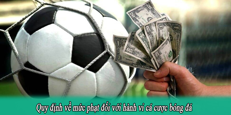 Quy định về mức phạt đối với hành vi cá cược bóng đá