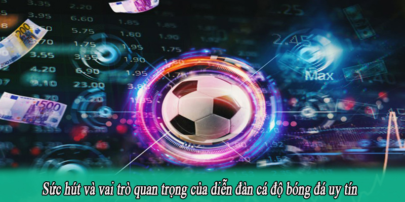 Sức hút và vai trò quan trọng của diễn đàn cá độ bóng đá uy tín