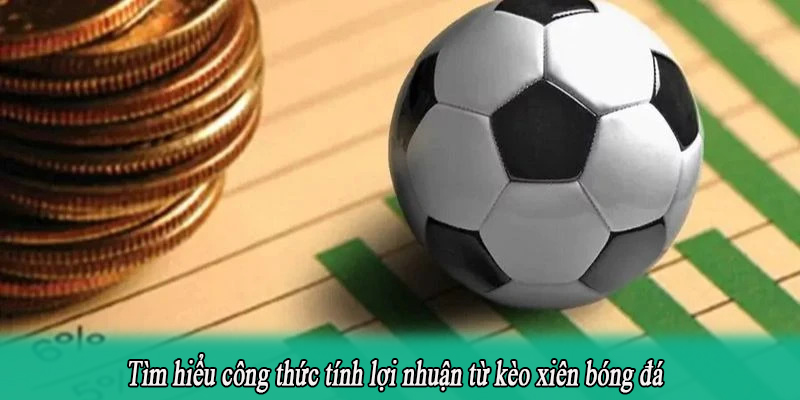Tìm hiểu công thức tính lợi nhuận từ kèo xiên bóng đá