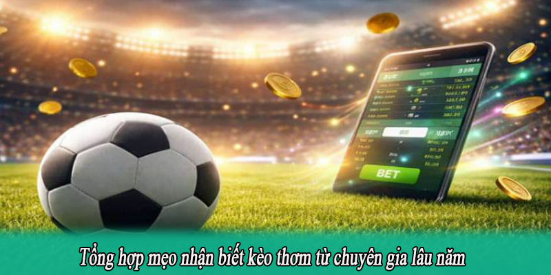 Tổng hợp mẹo nhận biết kèo thơm từ chuyên gia lâu năm
